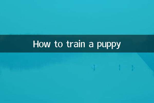 How to train a puppy