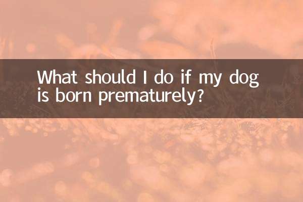 اگر سگم زودتر از موعد به دنیا بیاید چه کار کنم؟