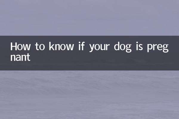 कैसे पता करें कि आपका कुत्ता गर्भवती है?