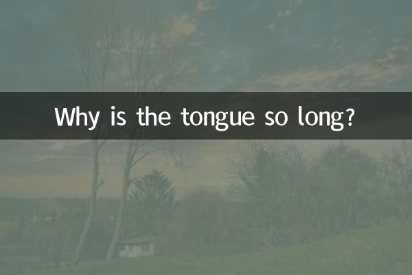 Pourquoi la langue est-elle si longue ?