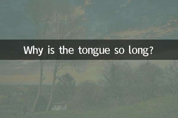 Pourquoi la langue est-elle si longue ?