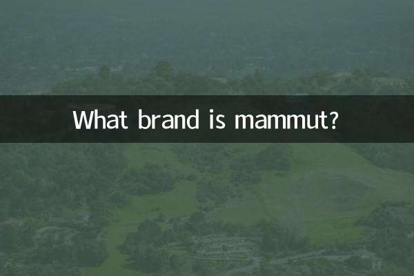 Che marca è mammut?