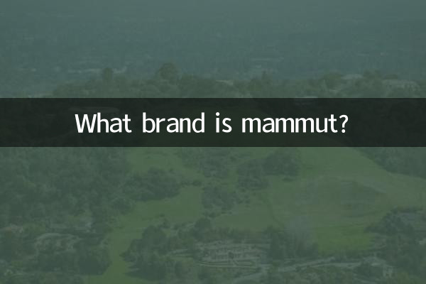 Welche Marke ist Mammut?