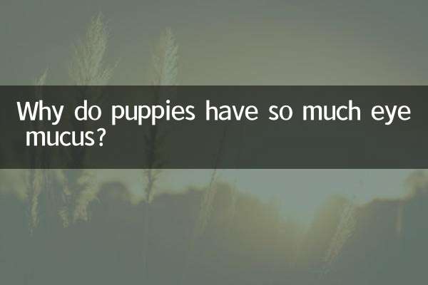 ¿Por qué los cachorros tienen tanta mucosidad en los ojos?