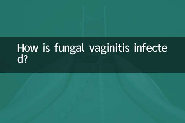 霉菌性阴道炎是怎么感染的