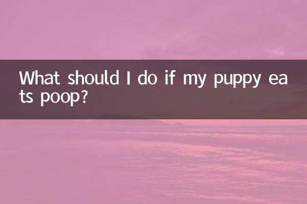 اگر میرے کتے نے پوپ کھایا تو مجھے کیا کرنا چاہئے؟