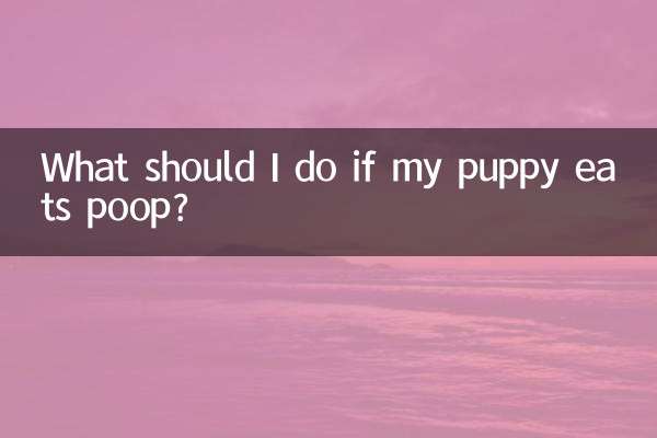 小狗吃了屎怎么办