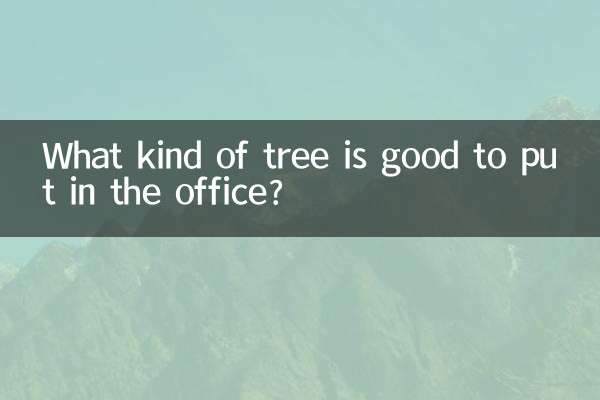 Какое дерево лучше поставить в офисе?