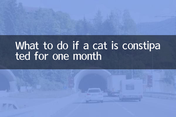 What to do if a cat is constipated for one month