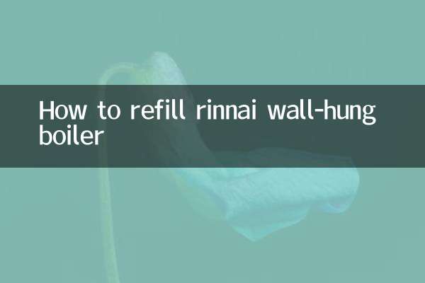 Cómo rellenar la caldera mural rinnai