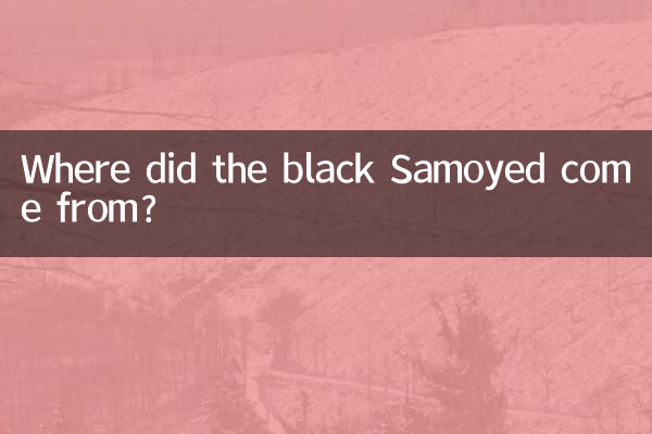 Откуда взялся черный самоед?