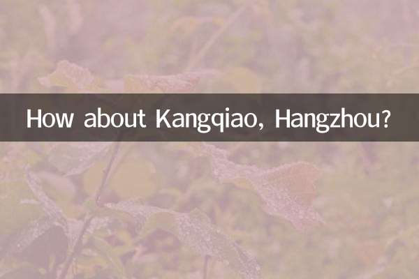 ¿Qué tal Kangqiao, Hangzhou?