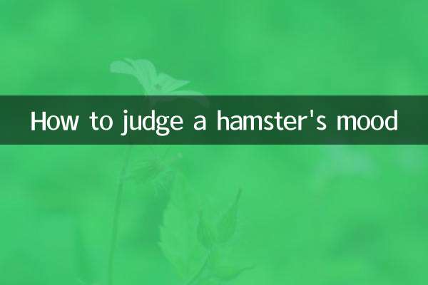 ハムスターの気分を判断する方法