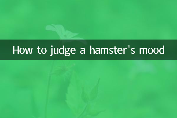 ہیمسٹر کے موڈ کا فیصلہ کیسے کریں