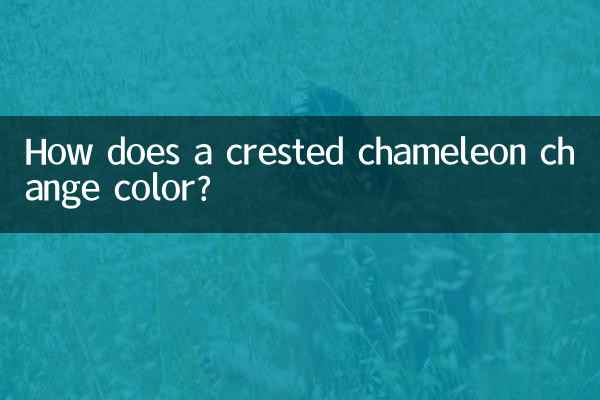 Comment un caméléon à crête change-t-il de couleur ?