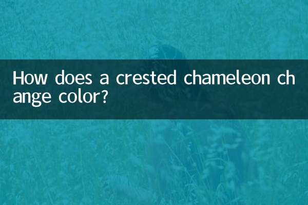 كيف يتغير لون الحرباء المتوجة؟