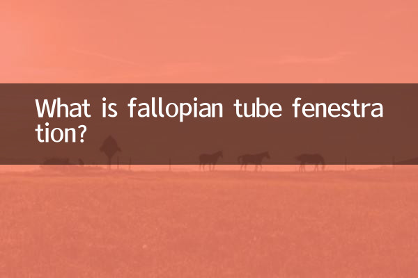 卵管開窓術とは何ですか?