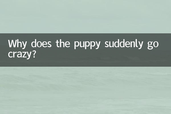 幼犬突然狂躁怎麼回事