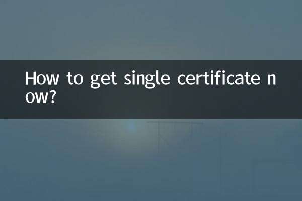 単一の証明書を今すぐ取得するにはどうすればよいですか?