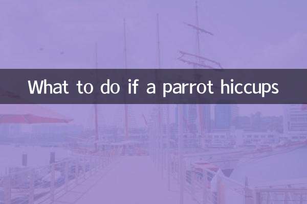 Qué hacer si un loro tiene hipo