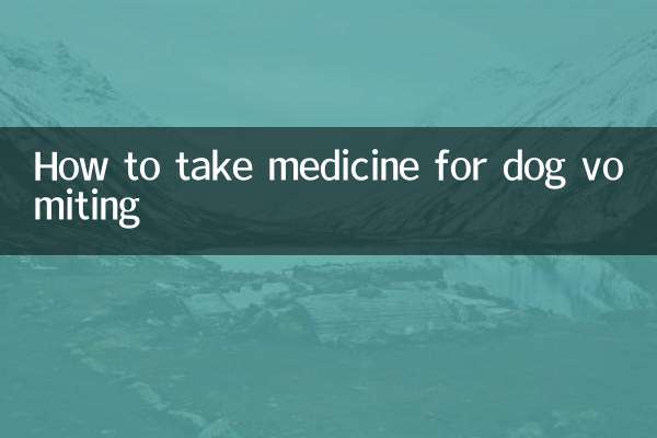 狗狗嘔吐怎麼用藥