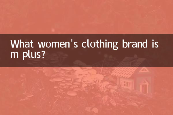 エムプラスってどんな婦人服ブランドですか?