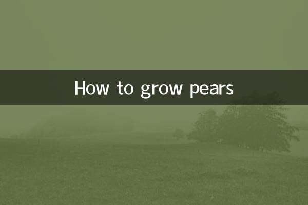 ناشپاتی کو کیسے اگائیں