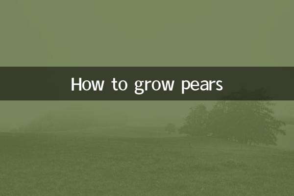 ناشپاتی کو کیسے اگائیں