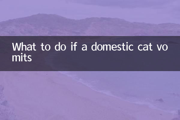 اگر گھریلو بلی الٹی ہو تو کیا کریں