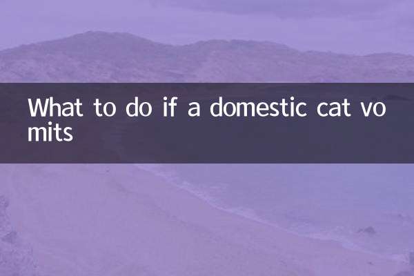 اگر گھریلو بلی الٹی ہو تو کیا کریں