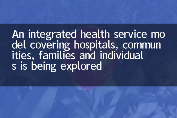 Ein integriertes Gesundheitsdienstmodell für Krankenhäuser, Gemeinden, Familien und Einzelpersonen wird untersucht