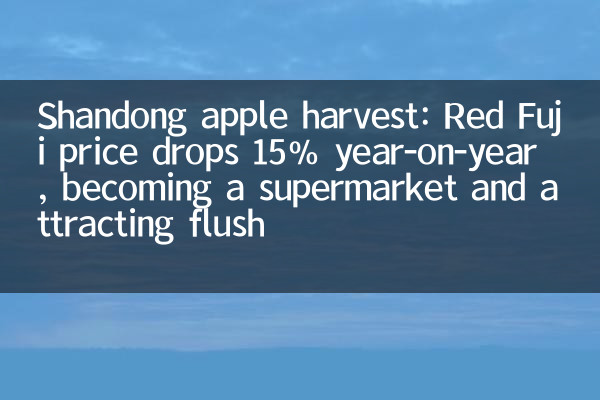 Shandong apple harvest: Red Fuji price drops 15% year-on-year, becoming a supermarket and attracting flush