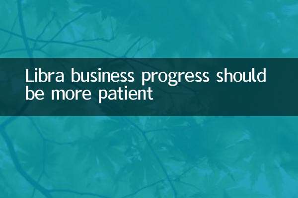 Libra business progress should be more patient