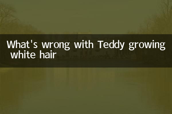 Was ist los, wenn Teddy weiße Haare annimmt