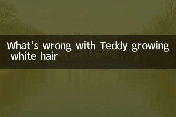 Was ist los, wenn Teddy weiße Haare annimmt