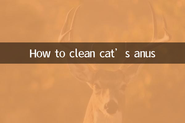 Comment nettoyer l'anus d'un chat