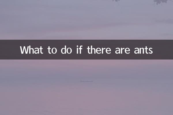 What to do if there are ants