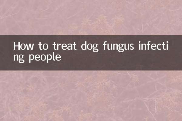 人に感染する犬の真菌の治療方法
