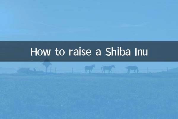 Comment élever un Shiba Inu