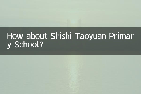 How about Shishi Taoyuan Primary School?