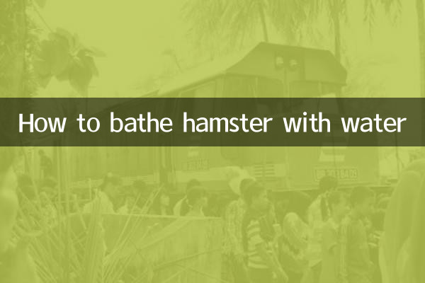 Como dar banho em hamster com água