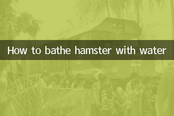 仓鼠怎么用水洗澡
