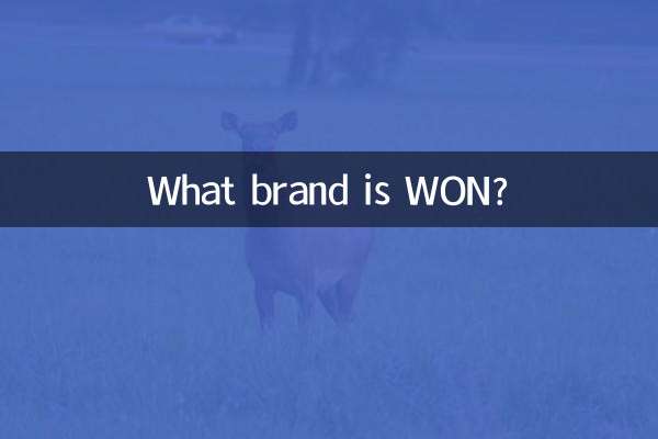 WONってどんなブランド？