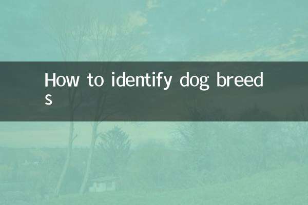 कुत्तों की नस्लों की पहचान कैसे करें