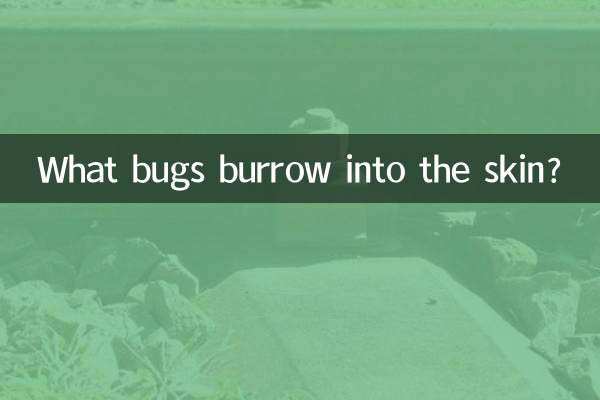 皮膚に潜む虫は何ですか？