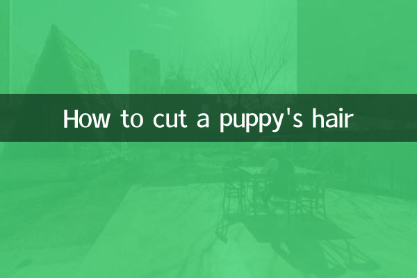 How to cut a puppy's hair
