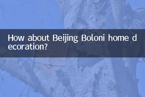 बीजिंग बोलोनी घर की सजावट के बारे में क्या ख्याल है?
