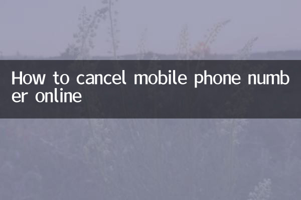 So kündigen Sie Ihre Handynummer online