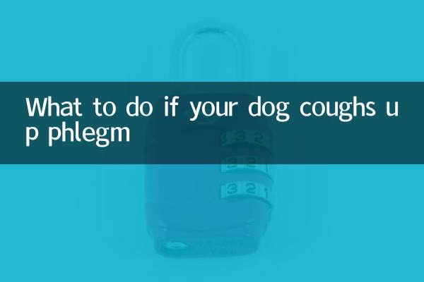 اگر آپ کے کتے نے بلغم کو کھانسی کی تو کیا کریں