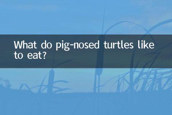 豬鼻龜喜歡吃什麼